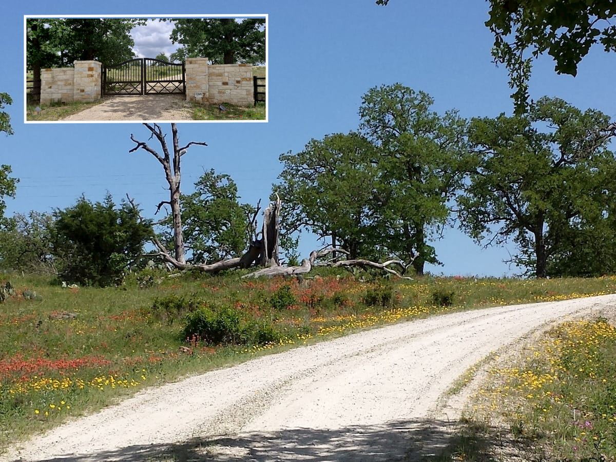 Driveway lined with spring wildflowers